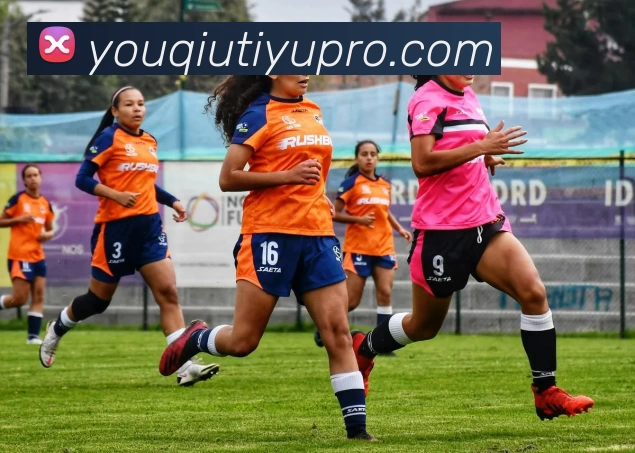 有球体育专业版平台生态图